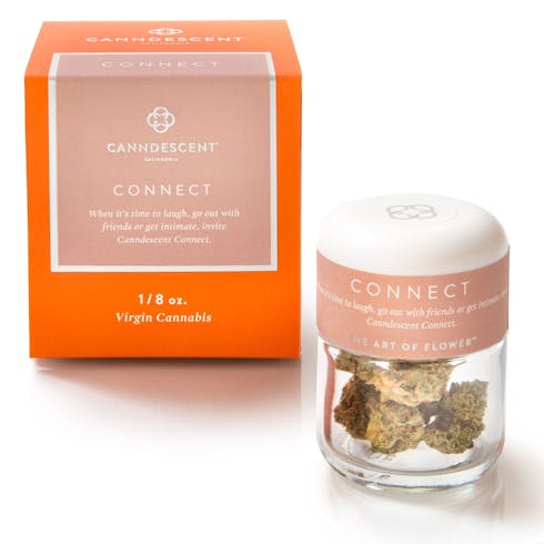Connect