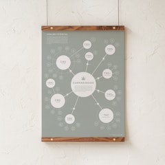 Goldleaf Books & Games Posters & Art Chart of Cannabinoids Infographic Print / Poster