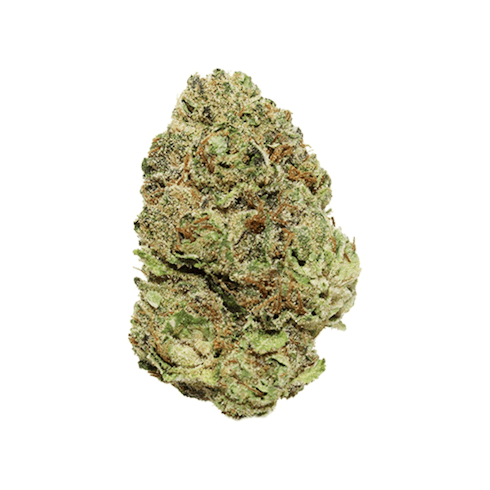 Wedding Cake Gelato (H)