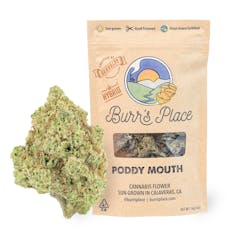 Burr's Place | Poddy Mouth (H) | 14g Sungrown Flower