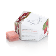 Strawberry 20:1 CBD + Hybrid Enhanced Gummies 200:10mg 