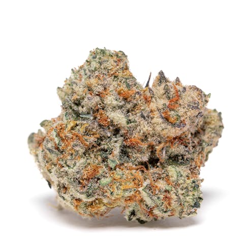 Slurricane by Perch Harvests