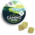 INTRO PRICING | Camino Sours: Citrus Punch 'Bliss' Gummies - 100mg