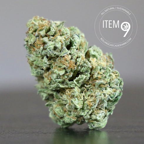 Platinum Yeti | $90 oz |