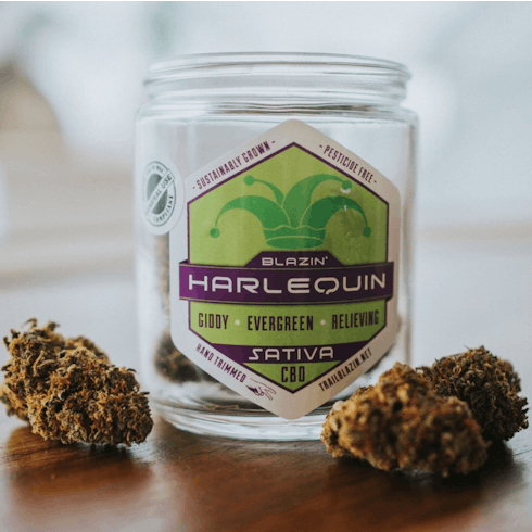Harlequin by Trail Blazin'