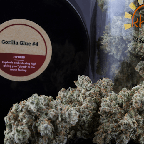 Sticky Gorilla #4 by Khush Kush