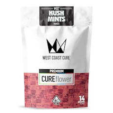 Kush Mints - 14G Premium Flower