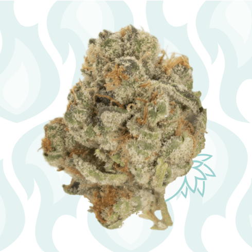 GSC