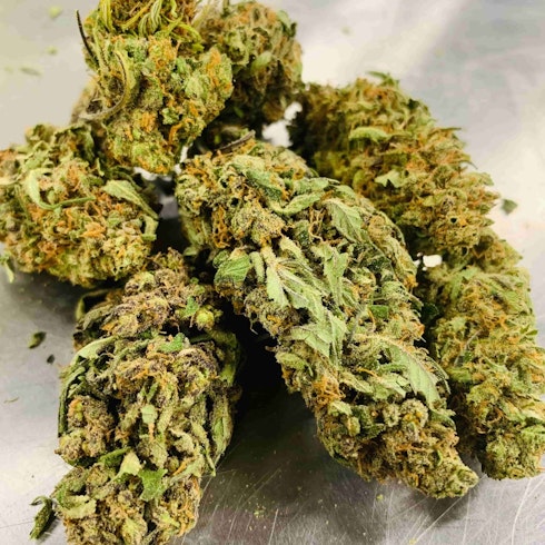 Indoor Lifter Premium Cbd Hemp Flower Leafly