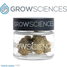 Puddles by GROW SCIENCES