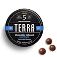 KIVA - TERRA - Milk Chocolate Covered Blueberry Bites - 100mg
