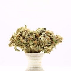 Apollo Grown Cannabis Flower Blue Cheese