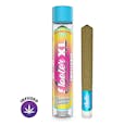 INFUSED JEETER TROPICANA COOKIES XL PREROLL 2G