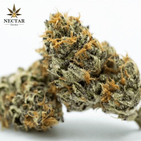 TROPICANA SKITTLZ