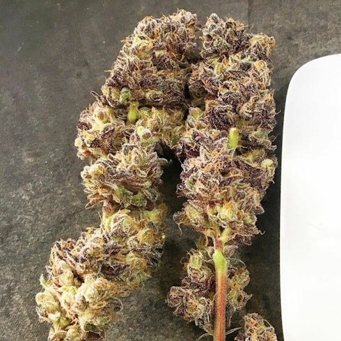 Eleven Roses Early Version Leafly Eleven Roses Early Version Leafly