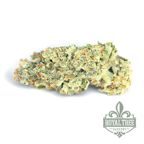 Durban Poison