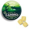 Camino Gummies Social Sparkling Pear 2:6 40mg THC 120mg CBD