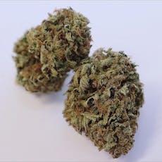 Dykstra | Sweet Venom Lite | 3.5g