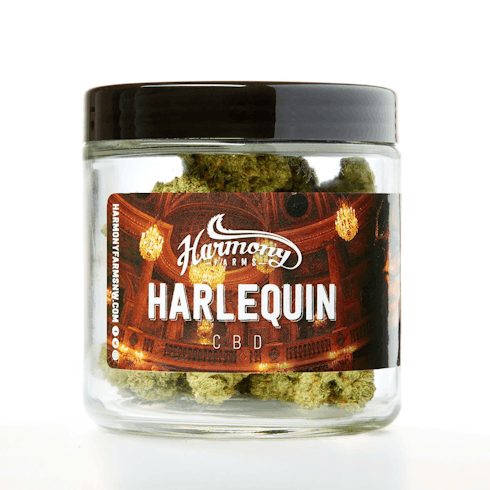 Harlequin by Harmony