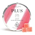 Sour Watermelon - Uplift Sativa Gummies - Plus Products