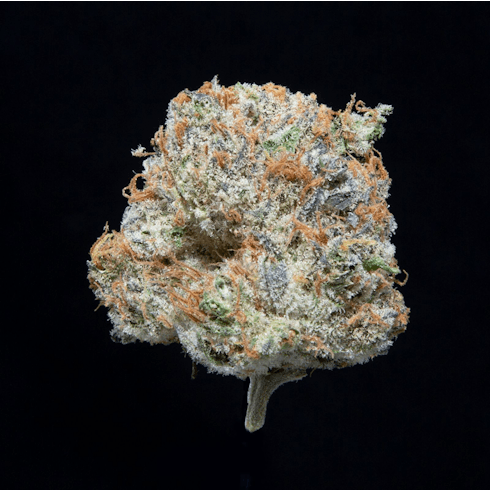 FALCANNA LEMON COOKIES 1G