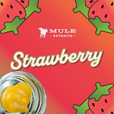 1:1:1:1 Strawberry Lemonade (1oz ) Tincture 250mg - Muleshine