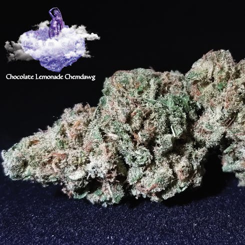 Chocolate Lemonade Chemdawg 3.5g Dream City