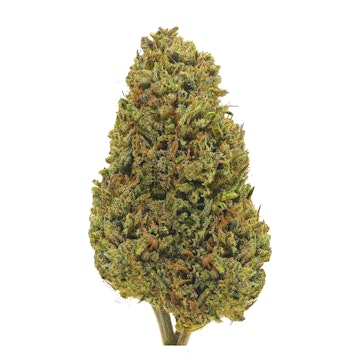 Cherry Wine CBD