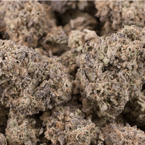 Blueberry Cheesecake by Solstice Tradition