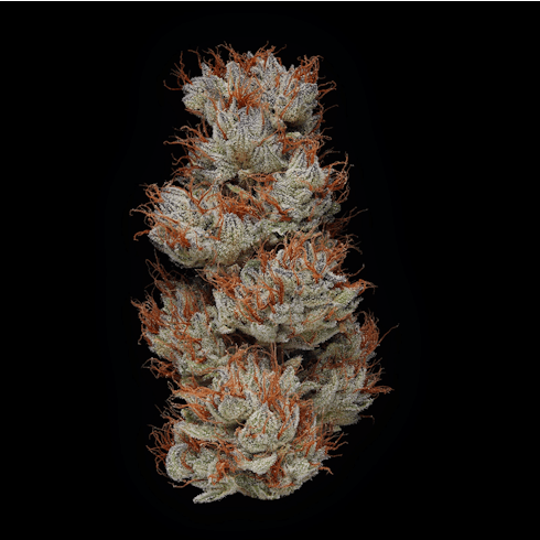 Five Alive 1g State Flower {SOLD OUT}