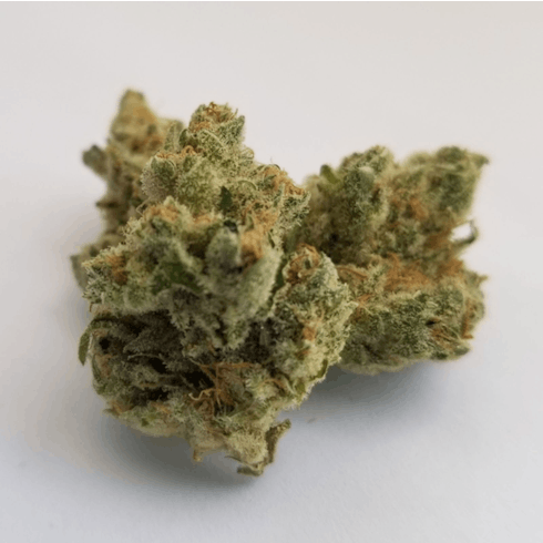 Honey Banana by Harvest of Maryland