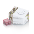 WYLD - Multi-pack (10) 100mg Huckleberry HYBRID Gummies 