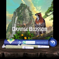 Orange Blossom (B) Prerolls 2pk x 0.6g by Falcanna