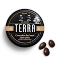Terra Almond Bites - 1:1 - 100mg - 20ct