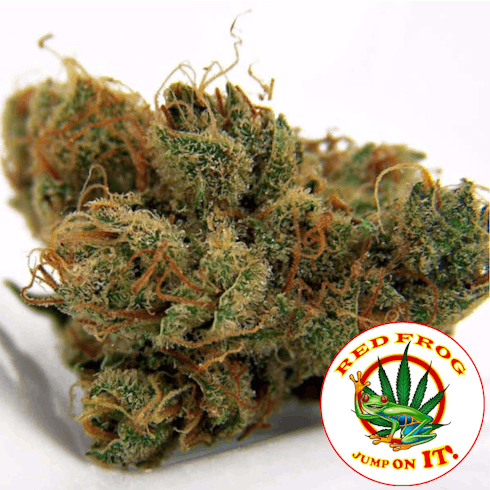 Dutch Treat by Red Frog