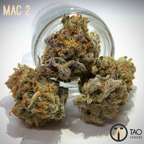 MAC #2 by Tao Gardens