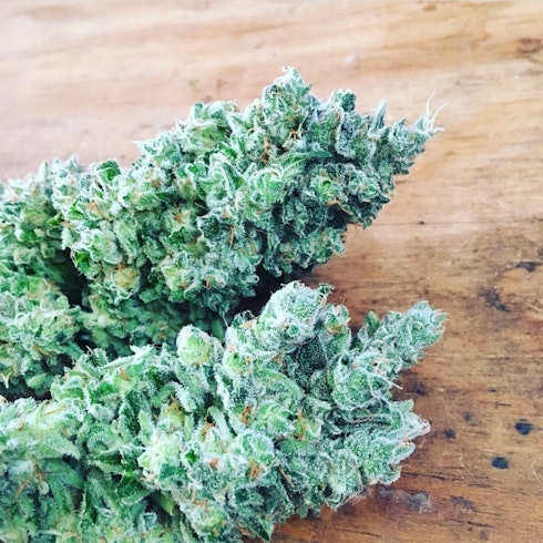Unknown Kush Early Version Leafly Unknown Kush Early Version Leafly