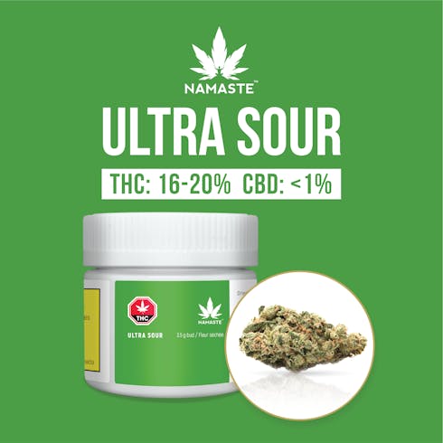 Namaste - Ultra Sour 3.5g Dried Flower