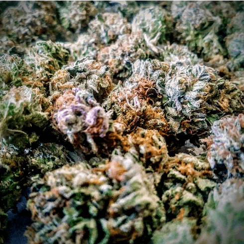 Gelato