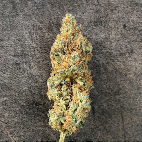 Sugar Black Rose Early Version Leafly Sugar Black Rose Early Version Leafly