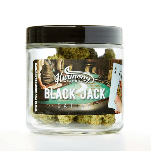 Black Jack by Harmony