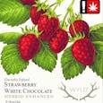 Strawberry | Hybrid | Chocolate Single