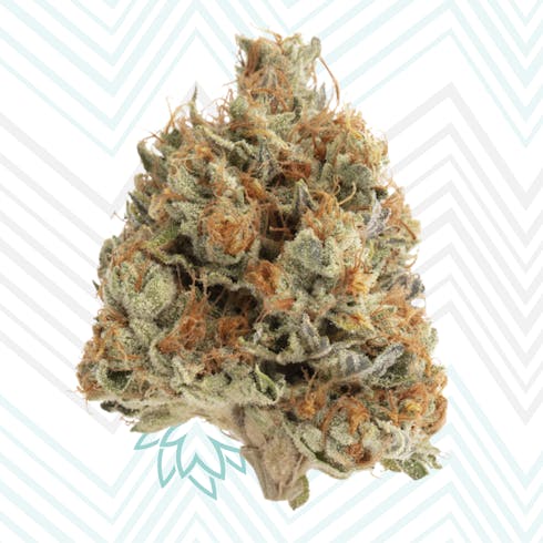 Chrome Diesel by GrassRoots