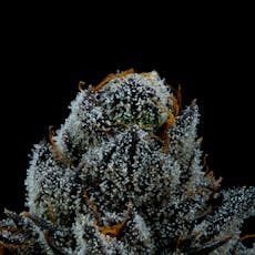 FLORACAL MORNING DEW FLOWER 3.5G