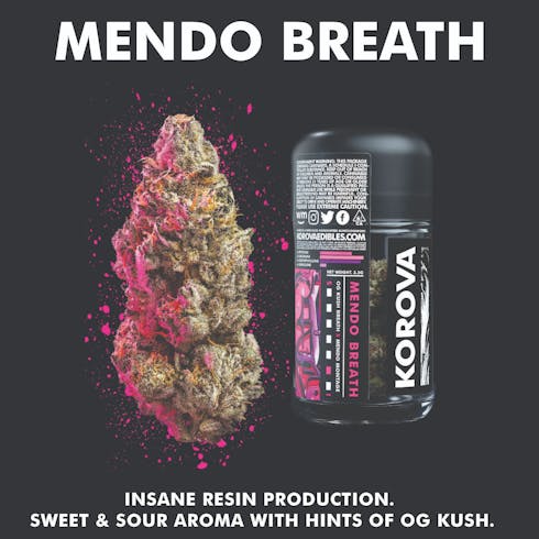 Korova Mendo Breath