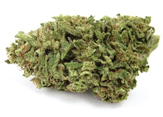 FLORIST FARMS / LA BOMBA / SATIVA / 3.5G FLOWER