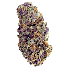 ~Honeydew Flower Palm Tree Delight