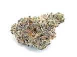 Apple Fritter - Green Tier - $115 Oz Deal - Trichome Farms