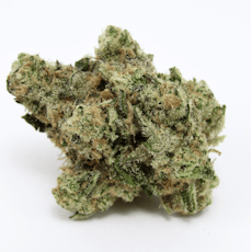 Z Crasher by Rocket Cannabis