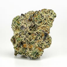 Affinity Flower 3.5g Blue Lobster (I) 00796